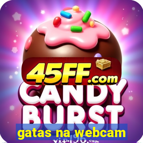 gatas na webcam